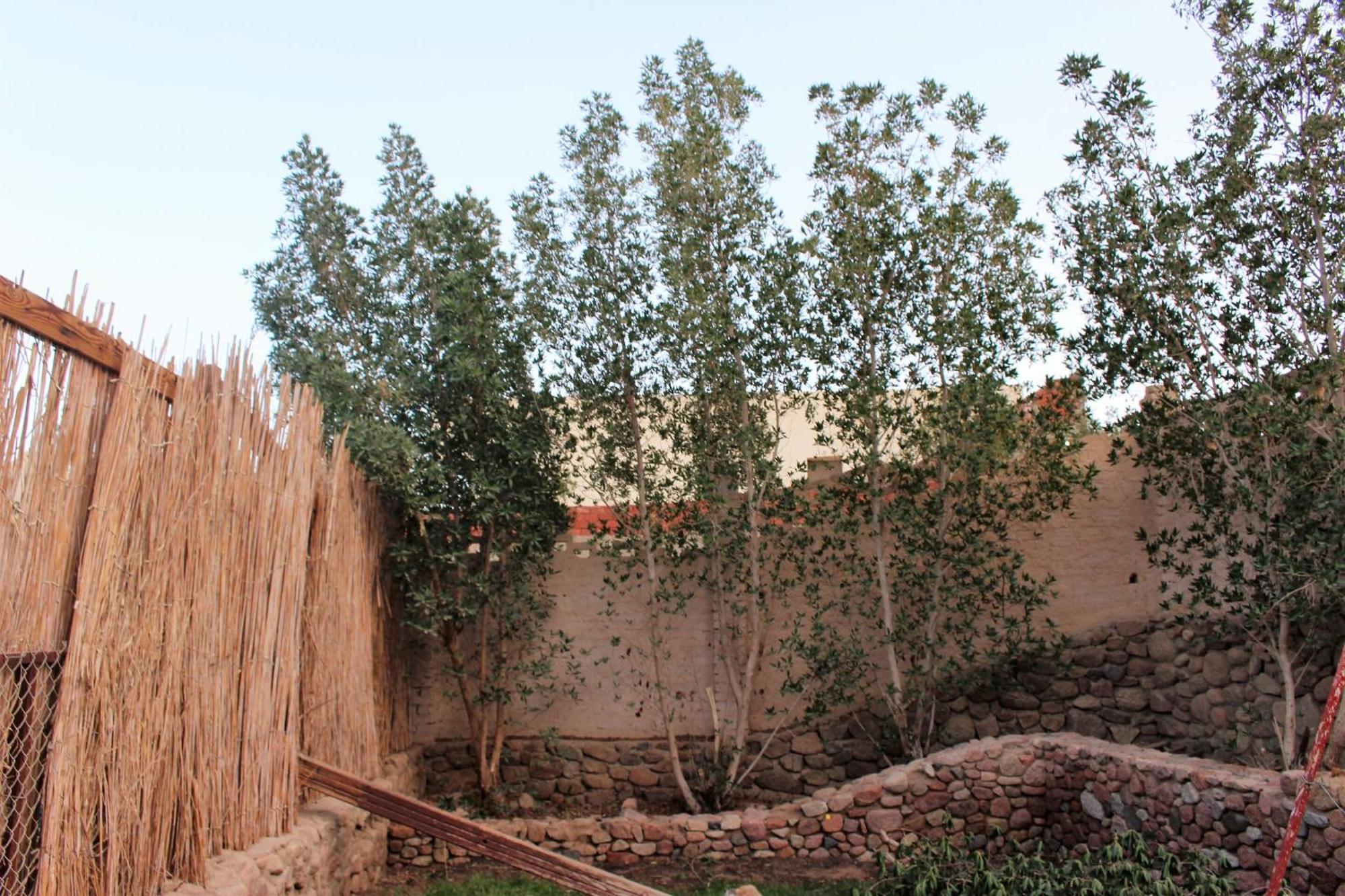 Sinai Old Spices B&B Sharm el-Sheik Rom bilde